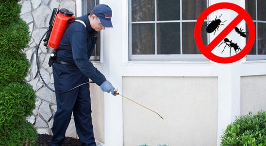 Doğanyurt Gümüşkurt İlaçlama böcek ilaçlama ve haşere kontrolü — ilaclama-tr.com